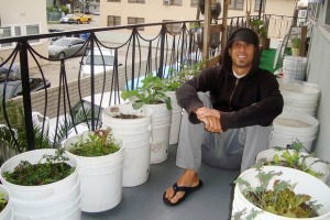 balcony-garden