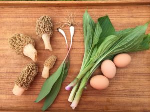 Morels and Ramps and Urui