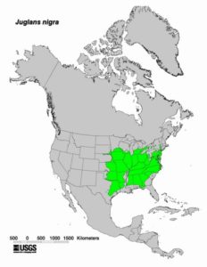 200806 Black Walnut Tree (Juglans nigra) - USGS NA Distribution Map