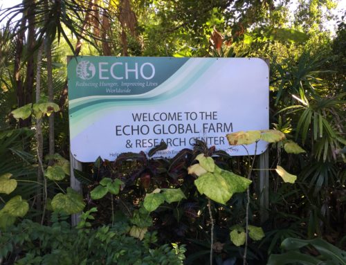 Tropical Agriculture Development course at ECHO Inc